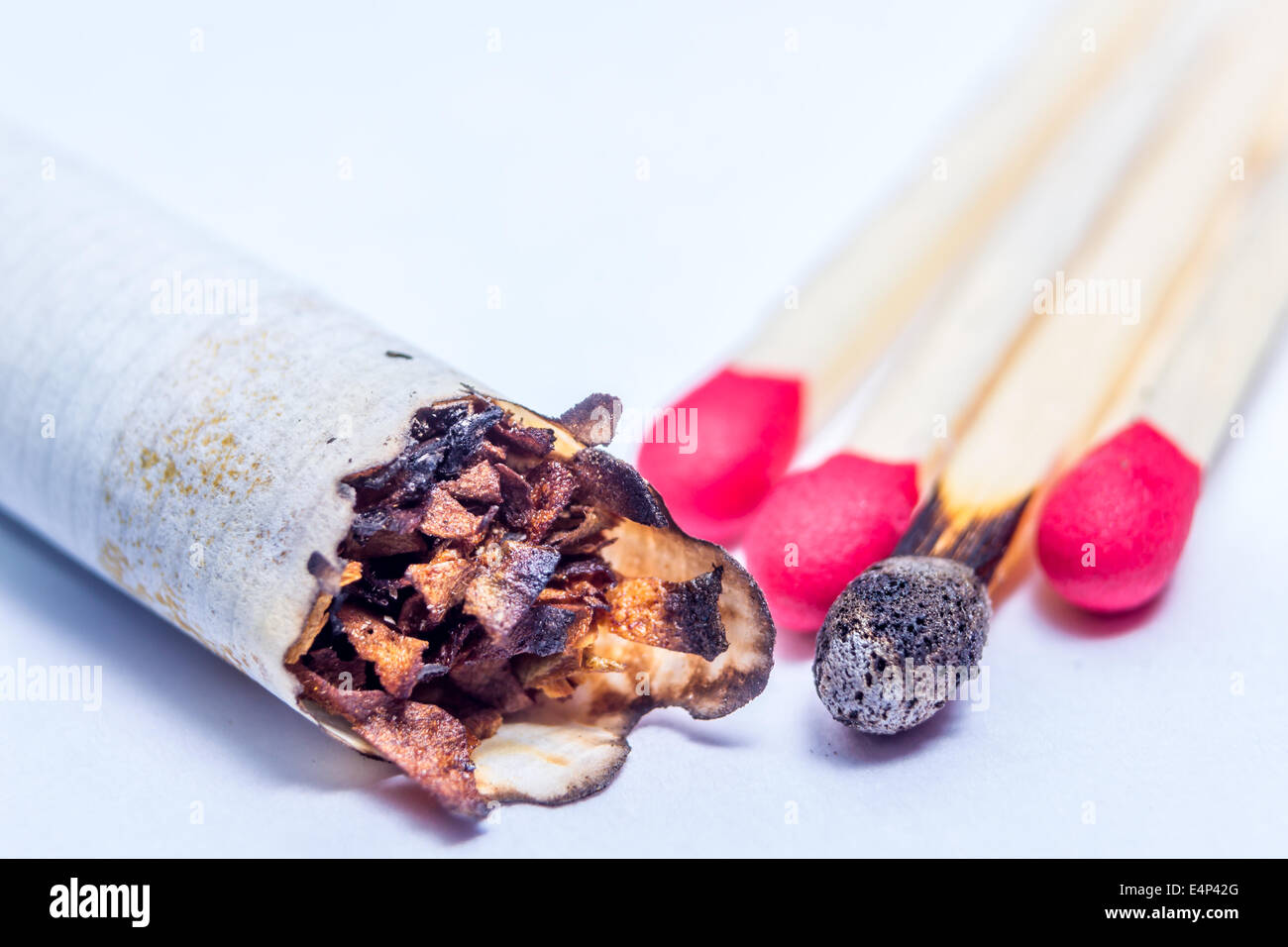 Closeup of smoked cigarette and matchsticks Stock Photo