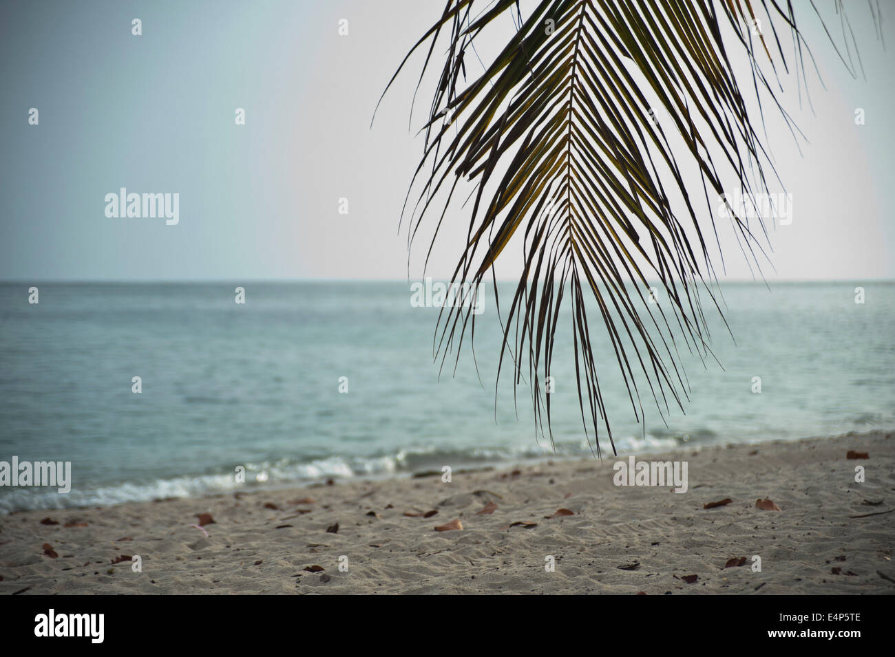 Tropical Beach in Trinidad, Cuba Stock Photo