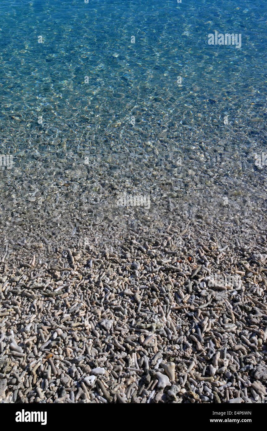 Coral rubble beach shelving into transparent waters, Fitzroy Island, Great Barrier Reef Marine Park, Queensland, Australia Stock Photo