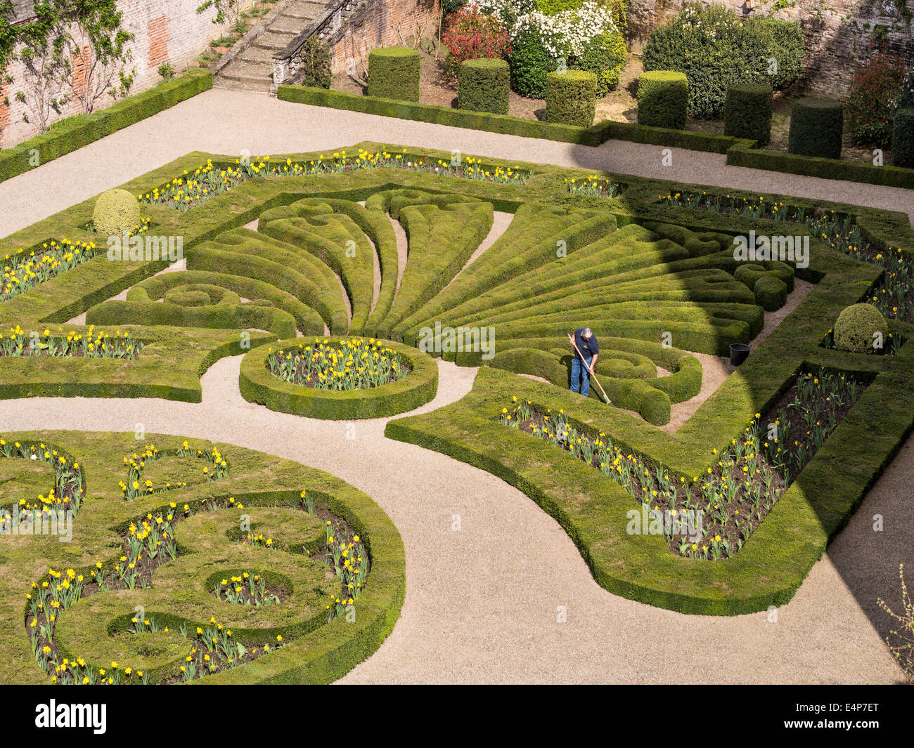 Formal Garden Maintenance. A gardener rakes between the patterned