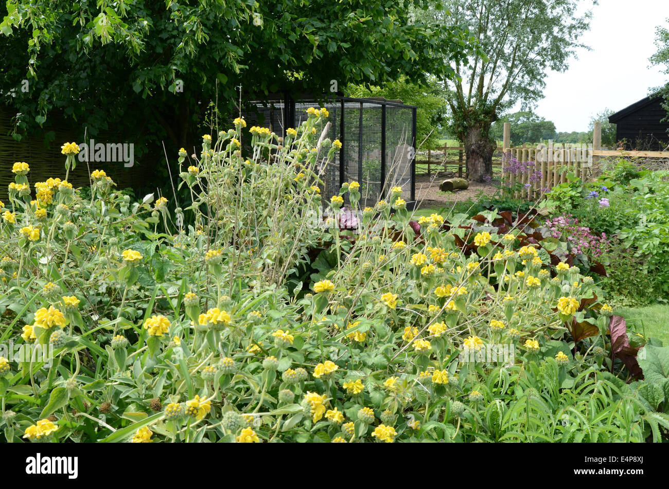 Blacksmiths cottage nursery norfolk england hires stock photography