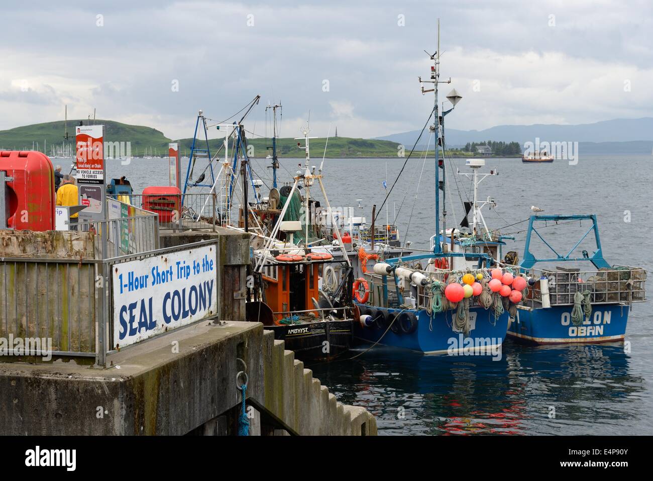 Fishing boats at Oban harbour, Scotland, UK Stock Photo