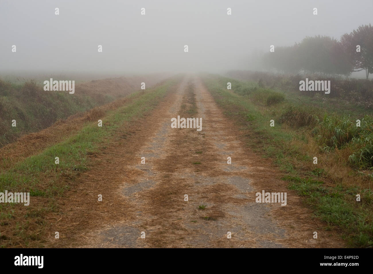 Farm with dirt road and fog Stock Photo - Alamy