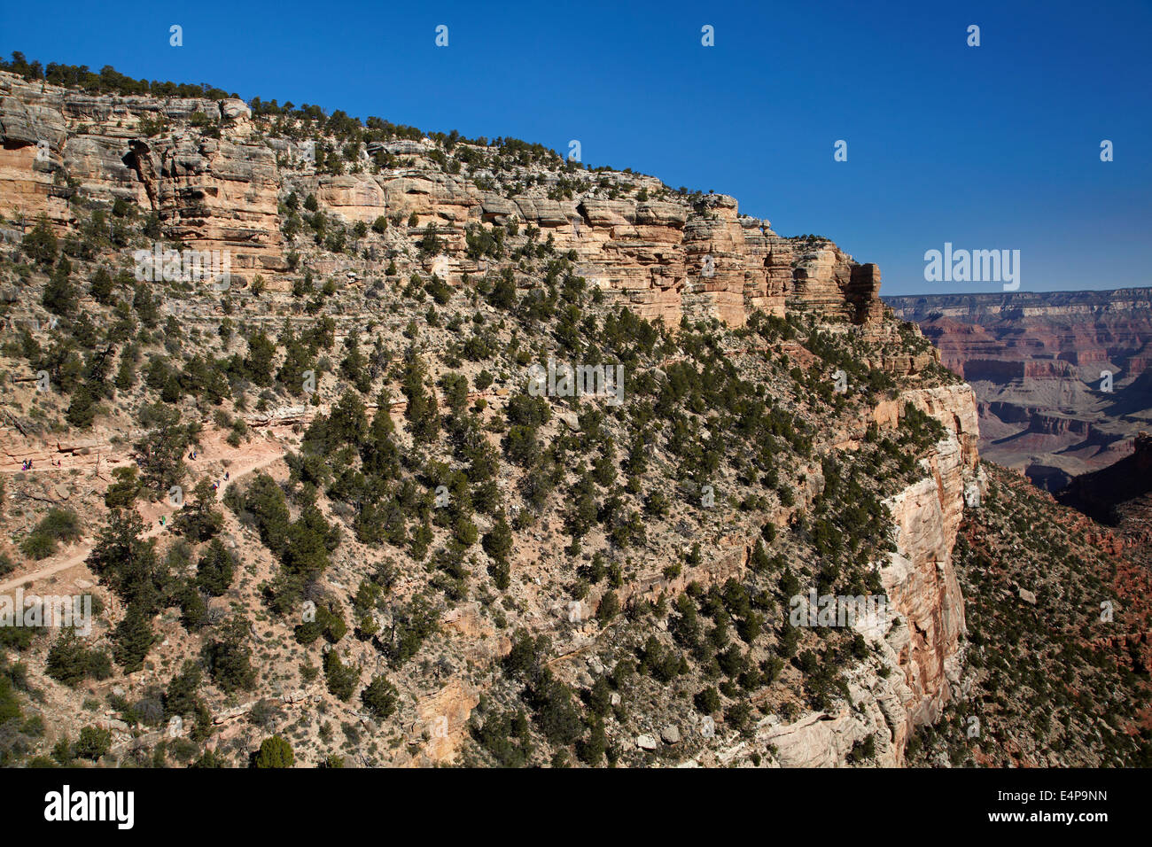 People hiking Bright Angel Trail, South Rim, Grand Canyon, Grand Canyon National Park, Arizona, USA Stock Photo