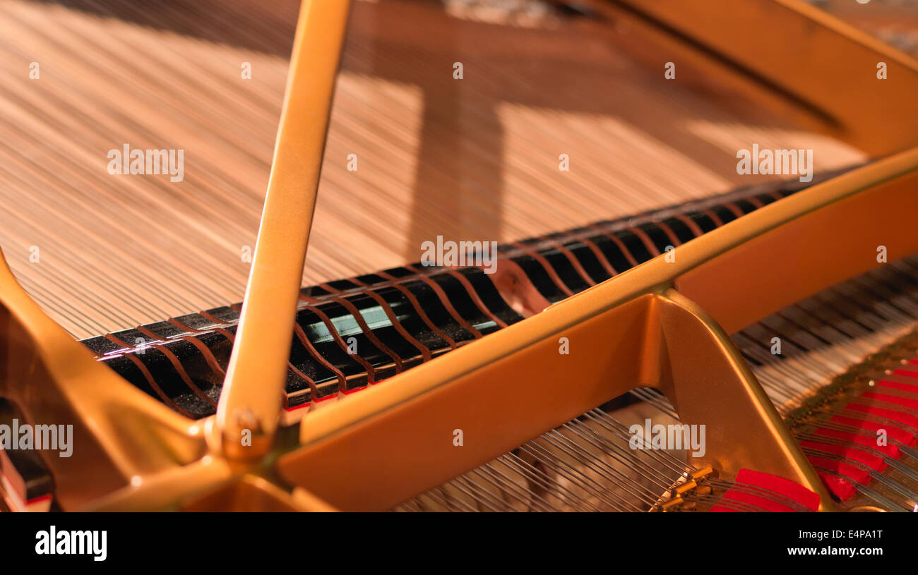 Detail photo of Steinway Grand D concert grand piano, Hamburg version, open lid, strings visible. Stock Photo