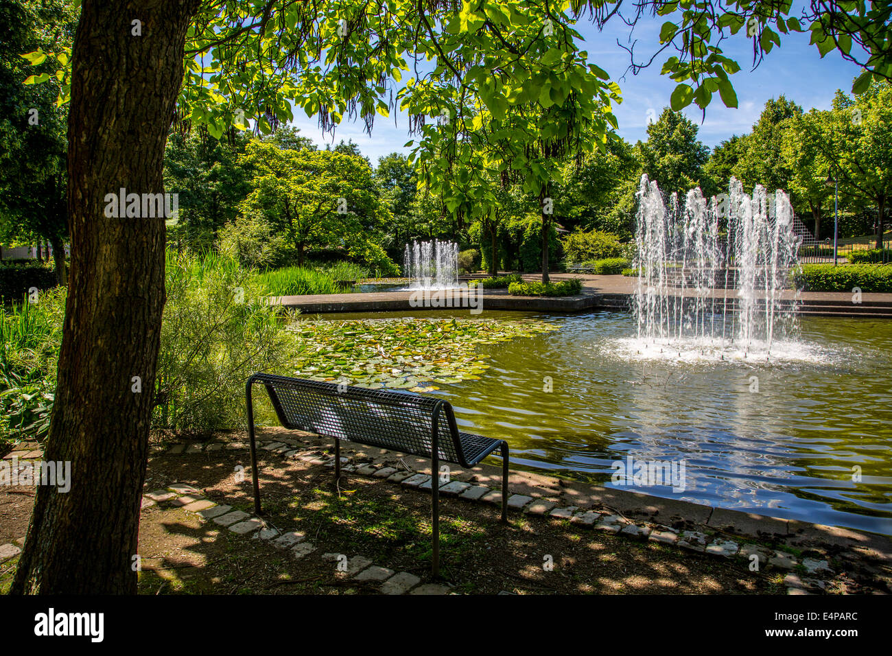 Fountain in a pond, public park in Muelheim, Germany Stock Photo Alamy