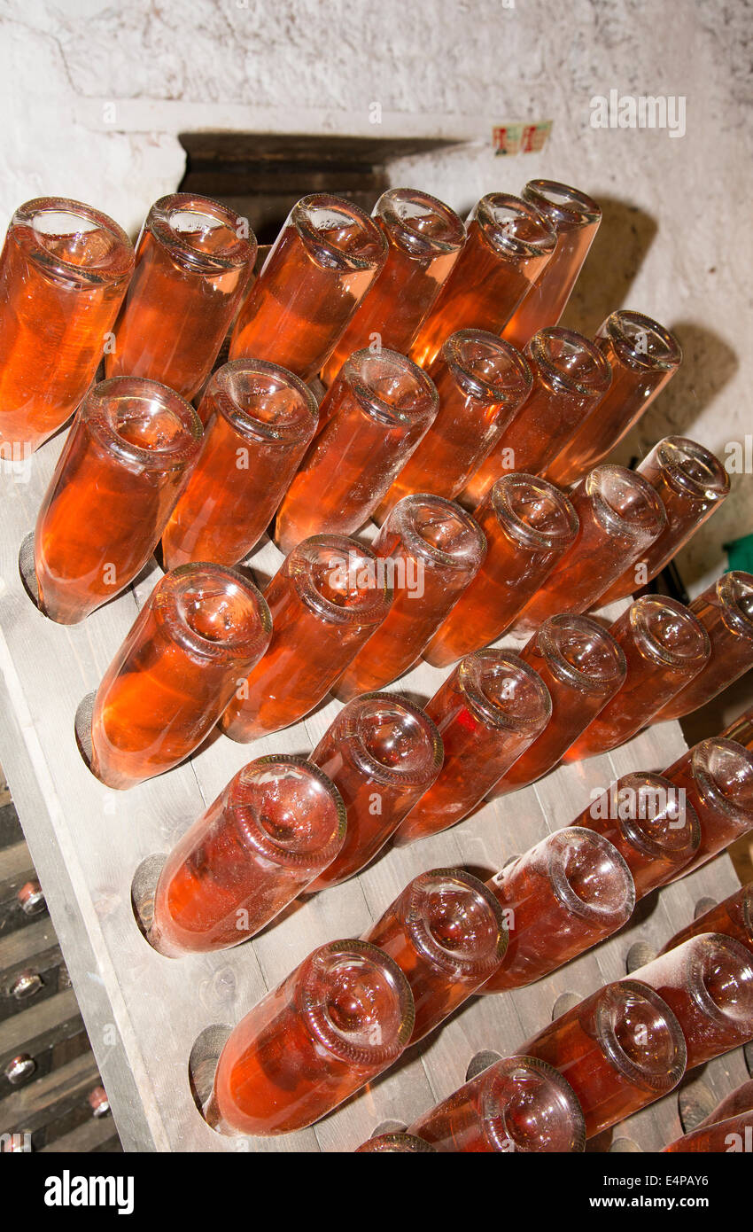 Rose sparkling wine fermenting in bottles. Racked. English wine Stock Photo