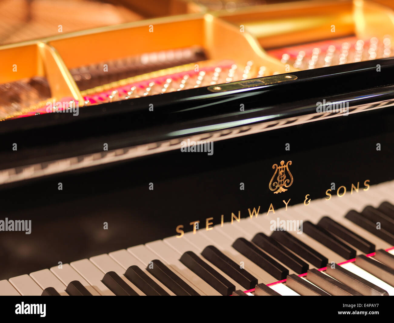 Detail photo of Steinway Grand D concert grand piano, Hamburg version. Hasselblad high resolution digital mid format shot. Stock Photo