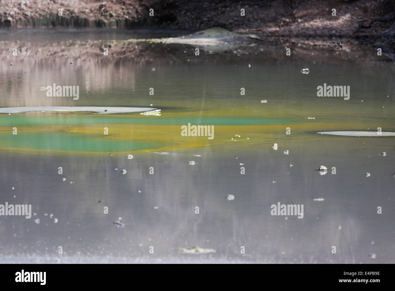 Shades of green and yellow in the water Stock Photo - Alamy