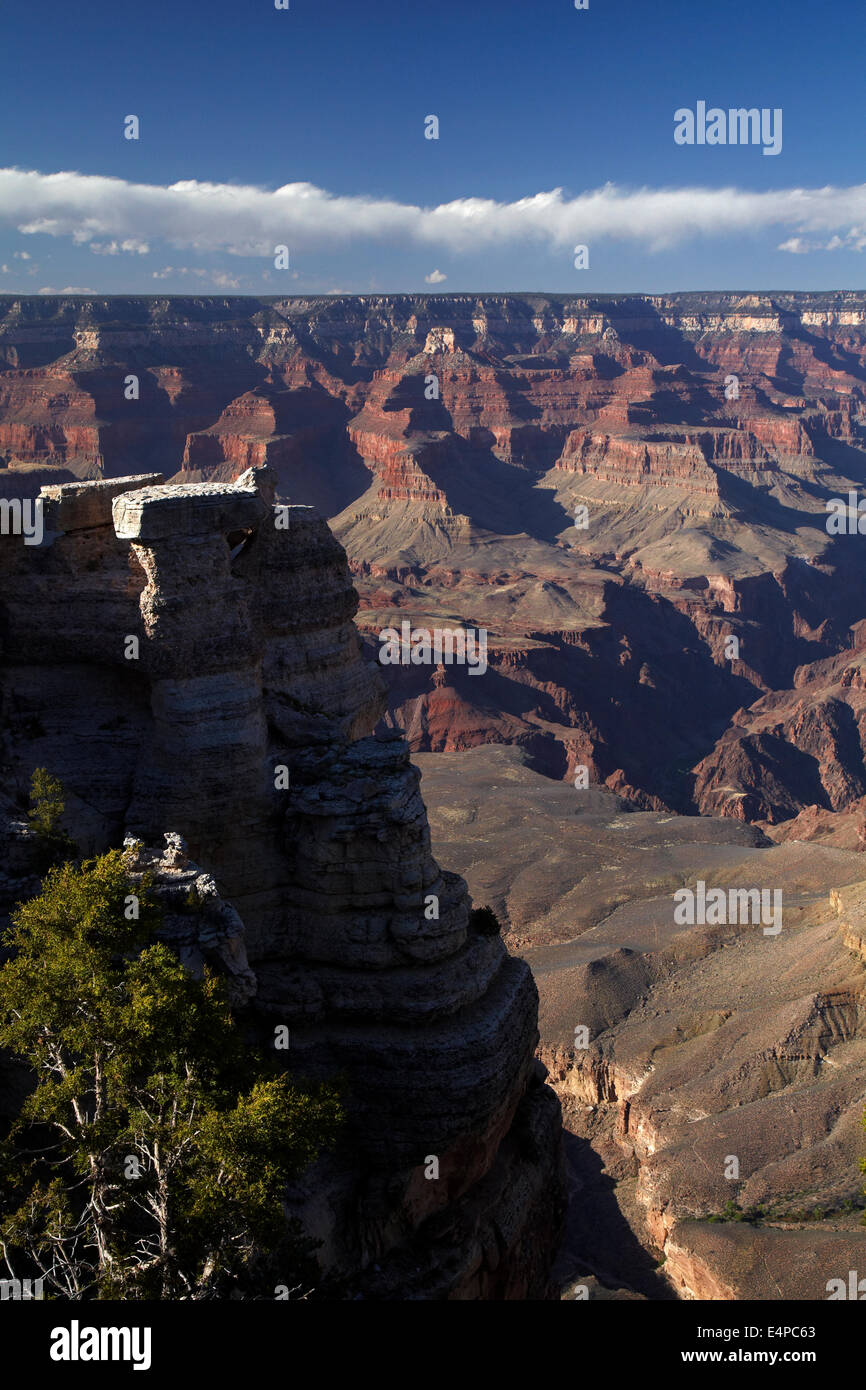Grand Canyon seen from Mather Point, South Rim, Grand Canyon National Park, Arizona, USA Stock Photo