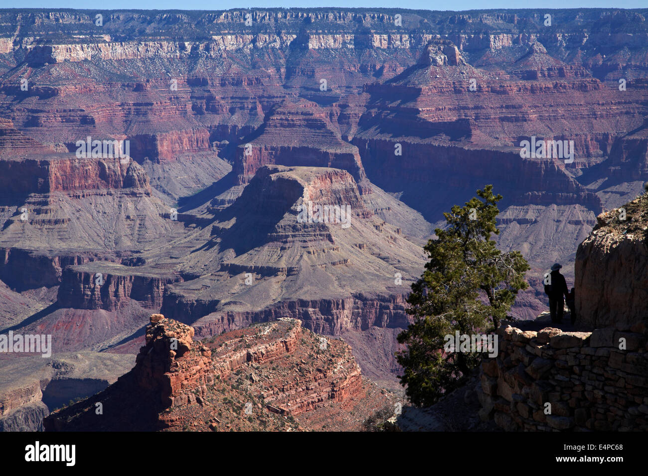 Person hiking Bright Angel Trail, South Rim, Grand Canyon, Grand Canyon National Park, Arizona, USA Stock Photo
