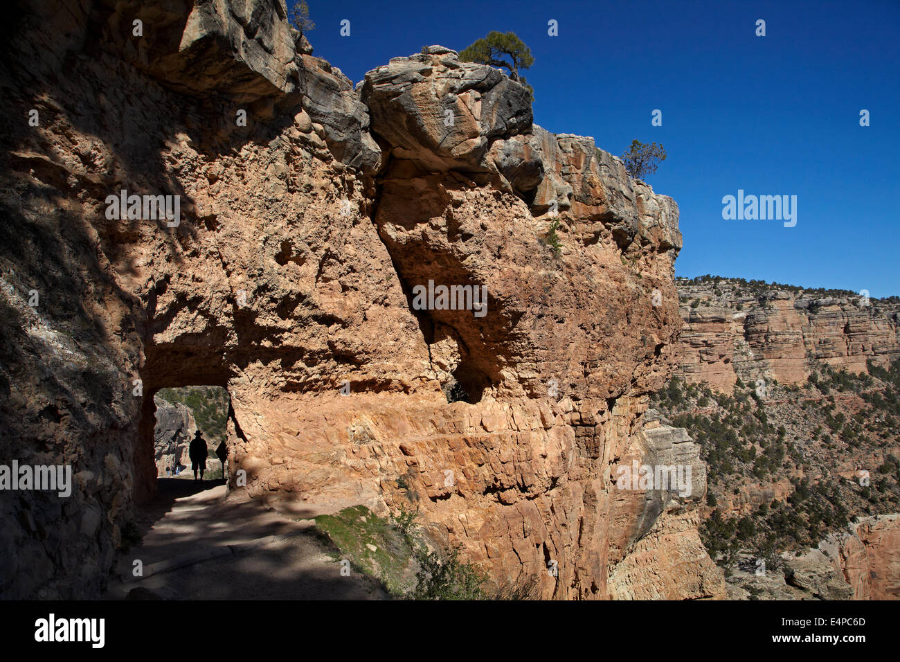 Person and tunnel on Bright Angel Trail, South Rim, Grand Canyon, Grand Canyon National Park, Arizona, USA Stock Photo