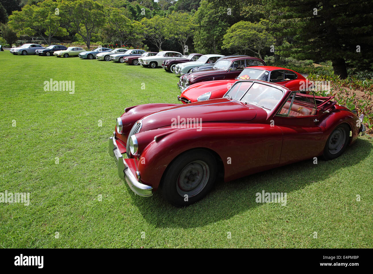 Vintage Jaguars side by side Stock Photo