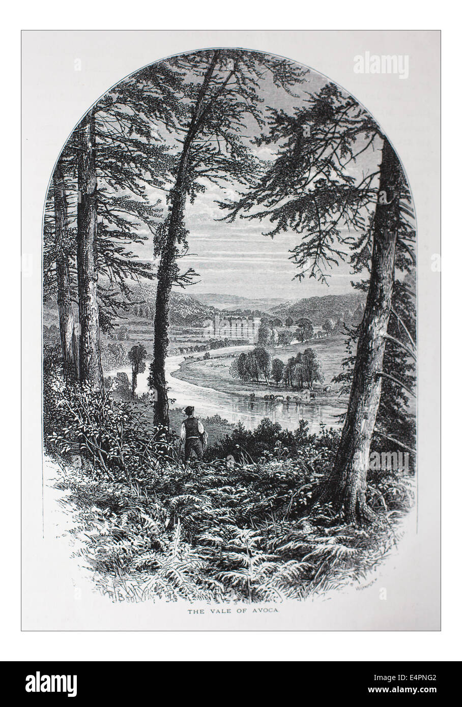 The Vale of Avoca, Ireland Illustration from 'The British isles - Cassell Petter & Galpin Part 8 Picturesque Europe. Picturesque Europe was an illustrated set of Magazines published by Cassell, Petter, Galpin & Co. of London, Paris and New York in 1877. The publications depicted tourist haunts in Europe, with text descriptions and steel and wood engravings by eminent artists of the time, such as Harry Fenn, William H J Boot, Thomas C. L. Rowbotham, Henry T. Green , Myles B. Foster, John Mogford , David H. McKewan, William L. Leitch, Edmund M. Wimperis and Joseph B. Smith. Stock Photo