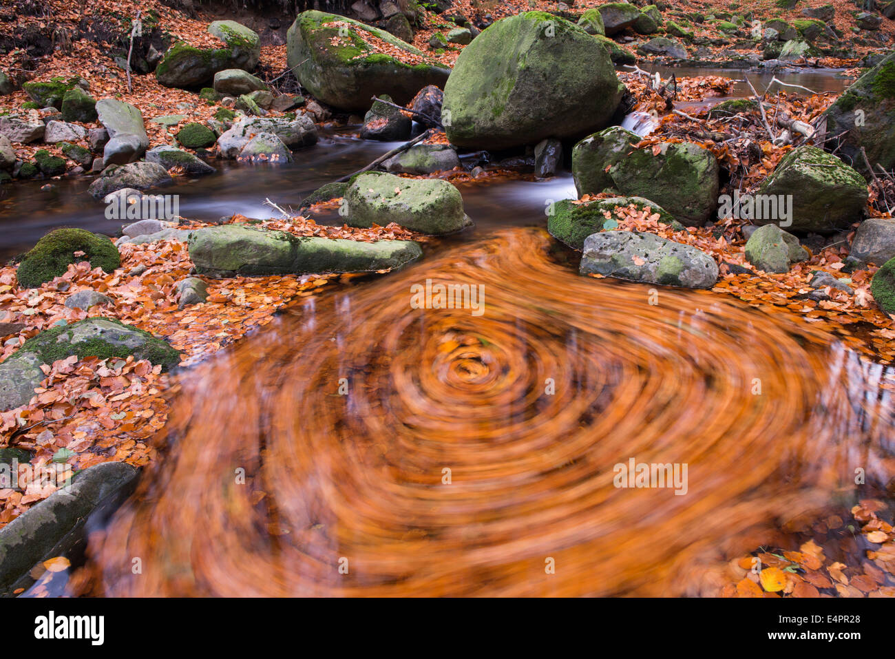 swirl, ilse, harz district, harz, saxony-anhalt, germany Stock Photo