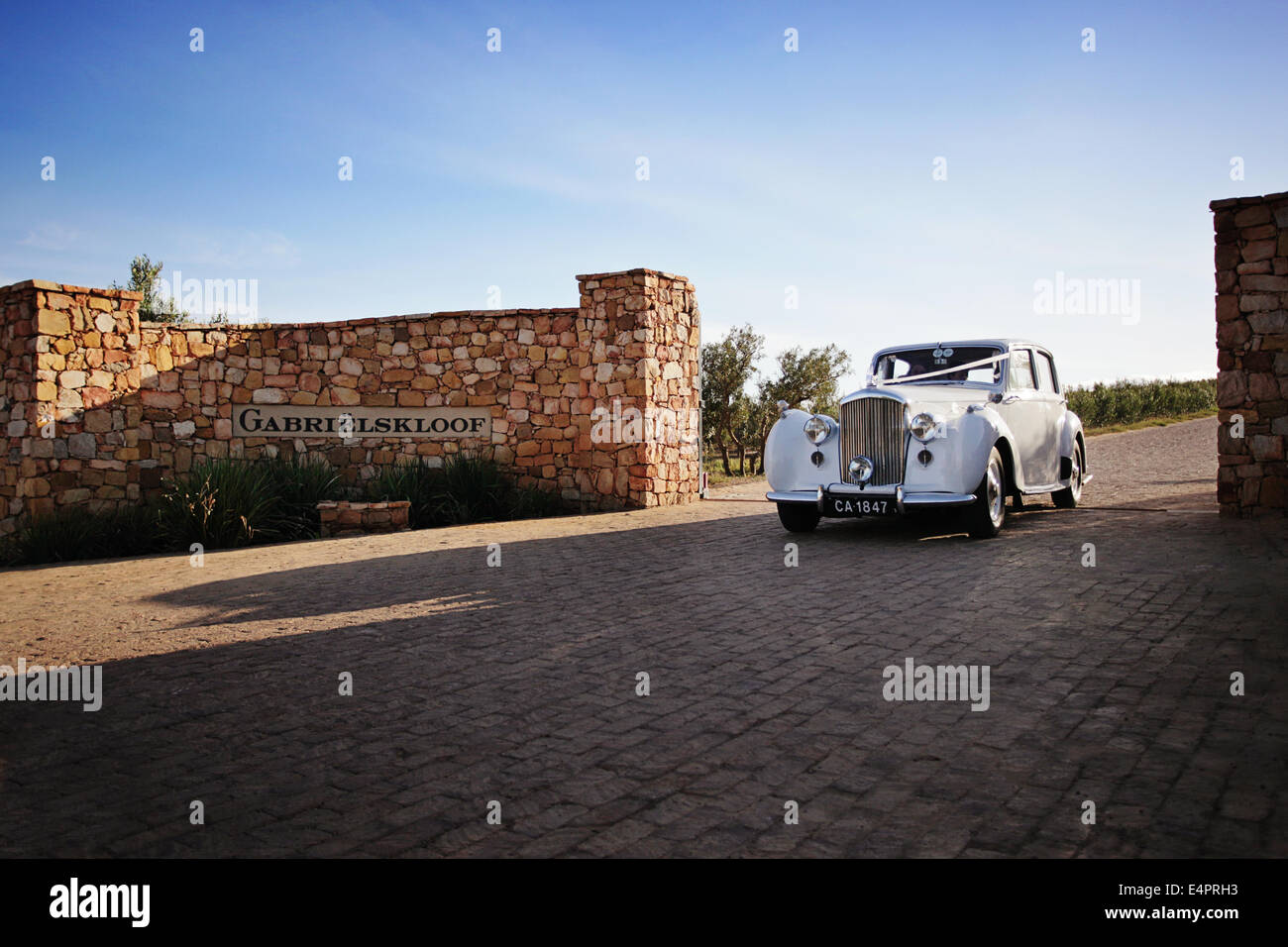 Beautiful white vintage Bentley car chauffeuring newlyweds Stock Photo