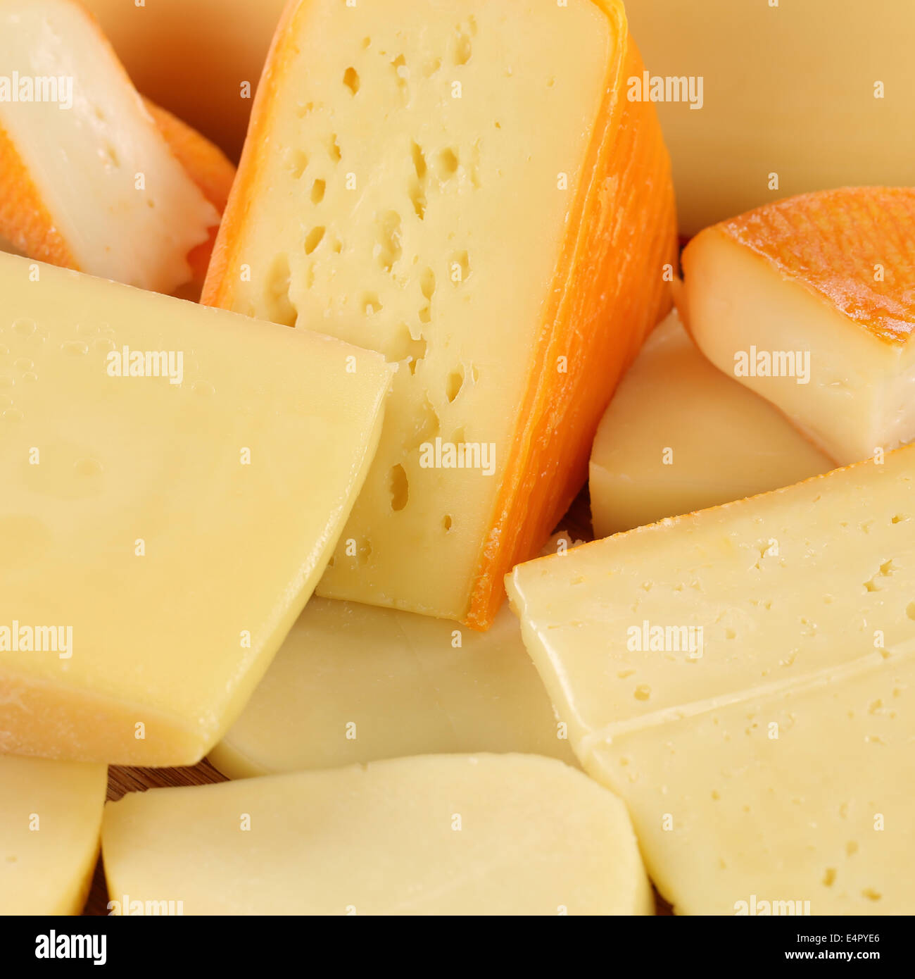 Cheese selection with Gouda, Leerdammer, hard and Swiss cheese Stock