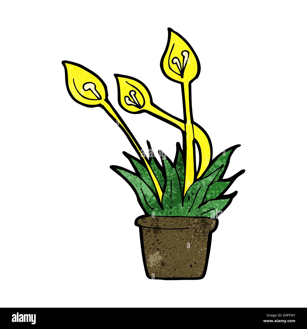 cartoon orchid plant Stock Vector Image & Art Alamy