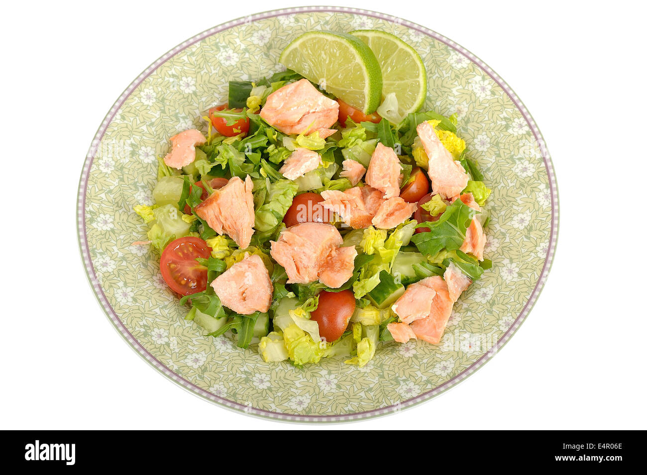 Fresh Poached Salmon Salad Stock Photo