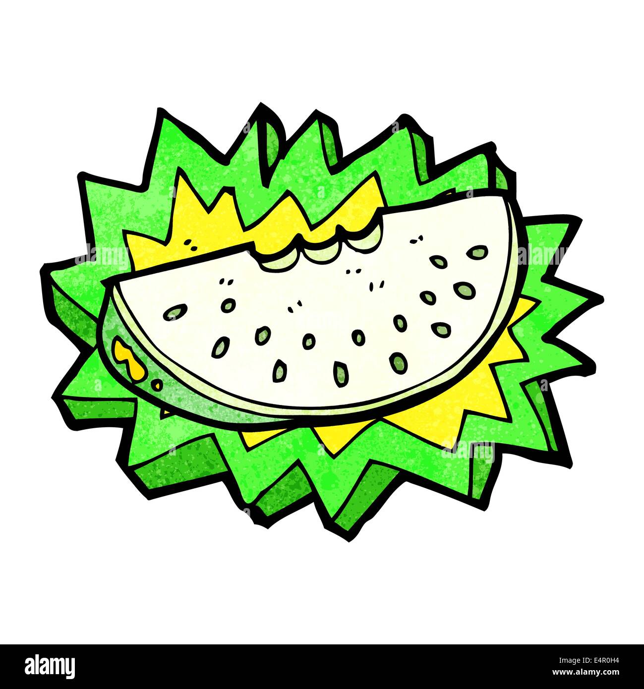 cartoon melon slice Stock Vector Image & Art Alamy
