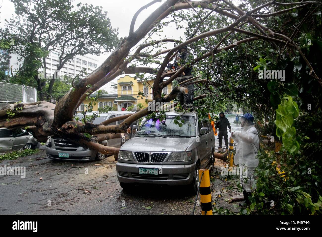 Manila, Philippines. 16th July, 2014. A giant tree crushes three cars nearby a private subdivision in Makati City as Typhoon Rammasun hit Metro Manila. Typhoon Rammasun (locally known as Glenda) had maximum sustained winds of 150 kph and gustiness of up to 185 kph when it hit Metro Manila. Across the country, about 400,000 people had fled their homes and sheltered in evacuation centers, according to the disaster management council. © PACIFIC PRESS/Alamy Live News Stock Photo