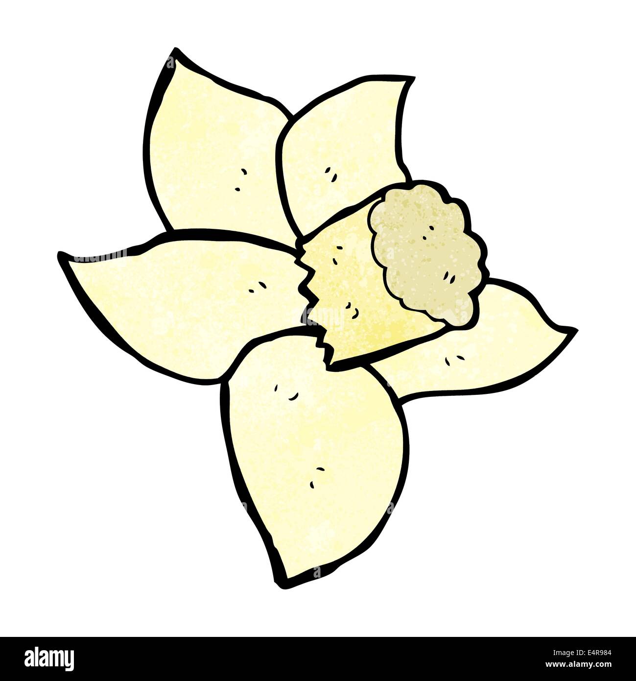 Cartoon Daffodil High Resolution Stock Photography And Images Alamy