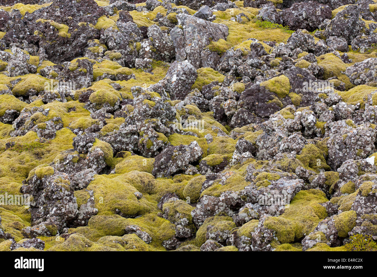 Iceland, scenic, Landschaft in Island Stock Photo