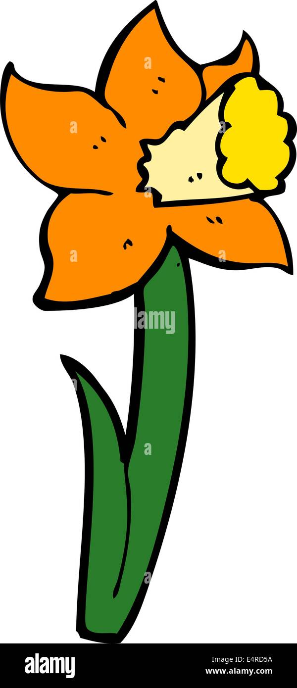 cartoon daffodil Stock Vector Image & Art Alamy