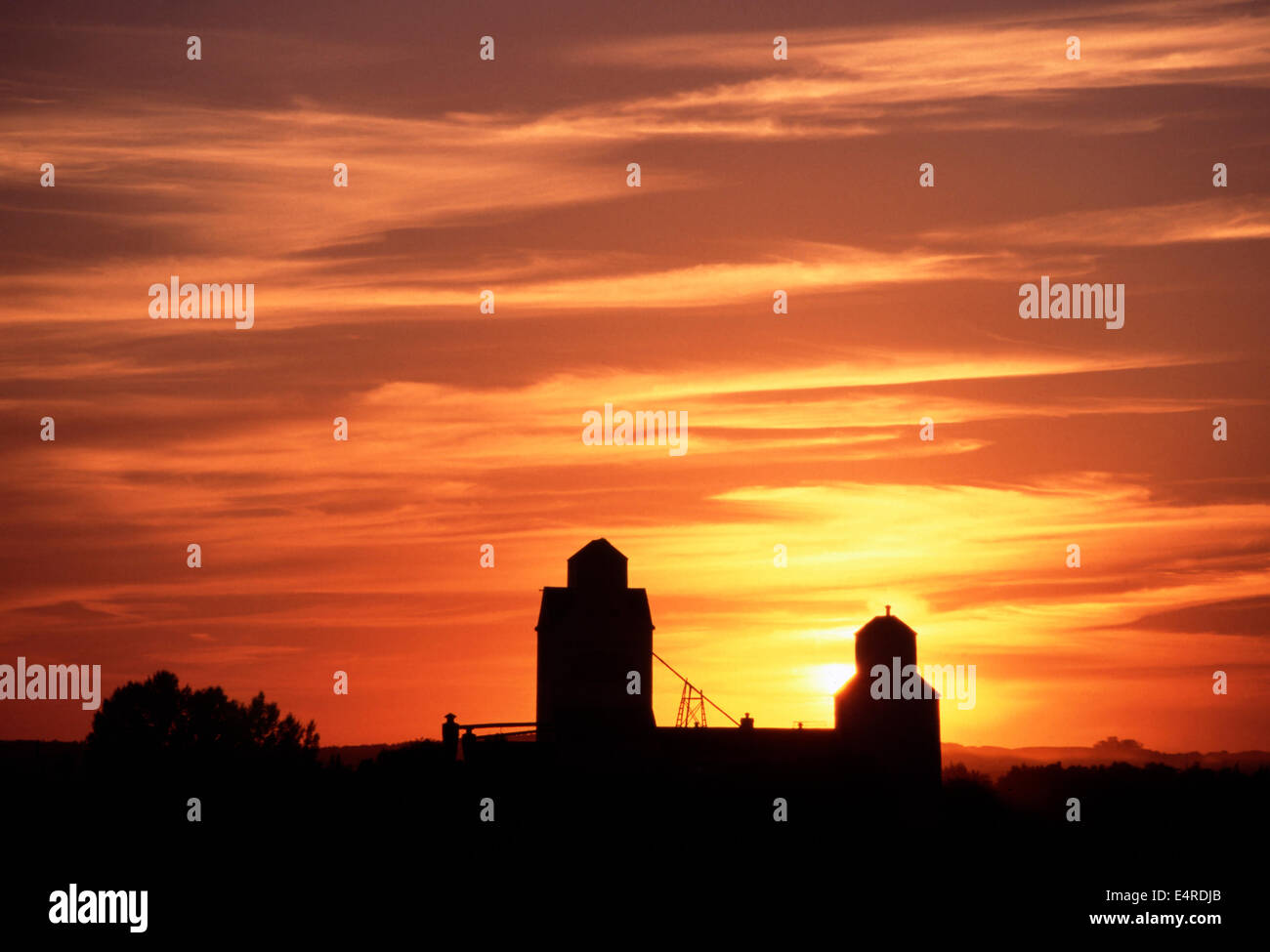 Grain elevators at sunset,Saskatchewan Stock Photo