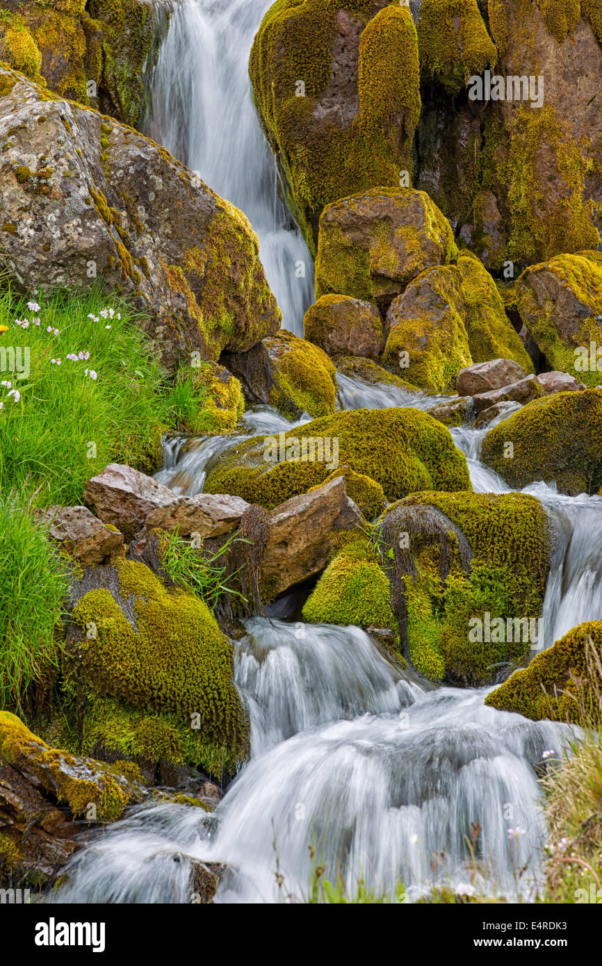 Iceland, scenic, Landschaft in Island, Wasserfall Stock Photo