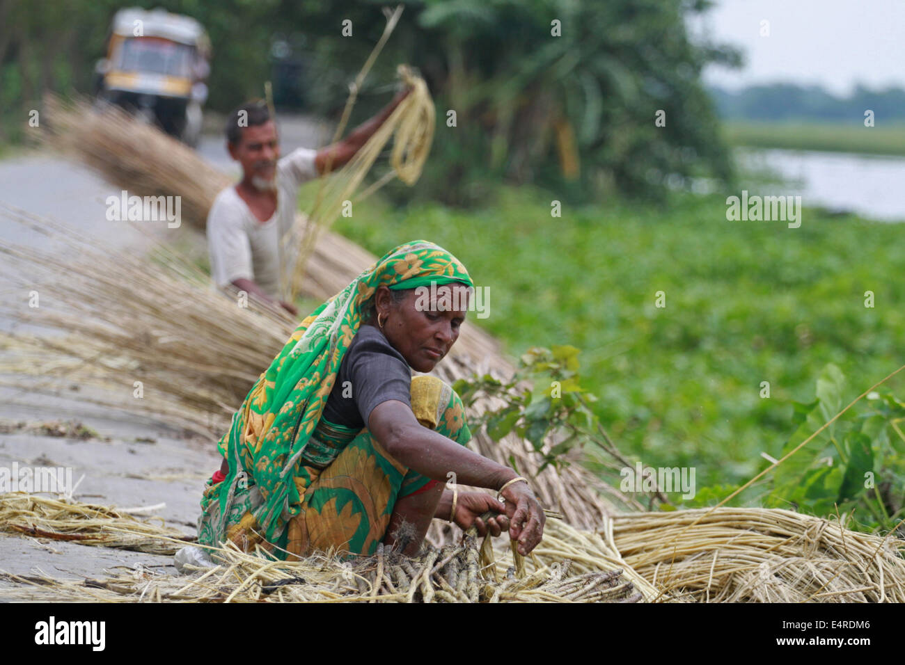 Jute processing hires stock photography and images Alamy