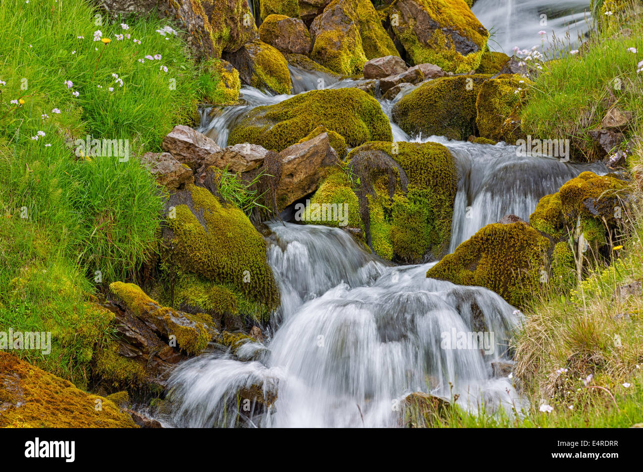 Iceland, scenic, Landschaft in Island, Wasserfall Stock Photo
