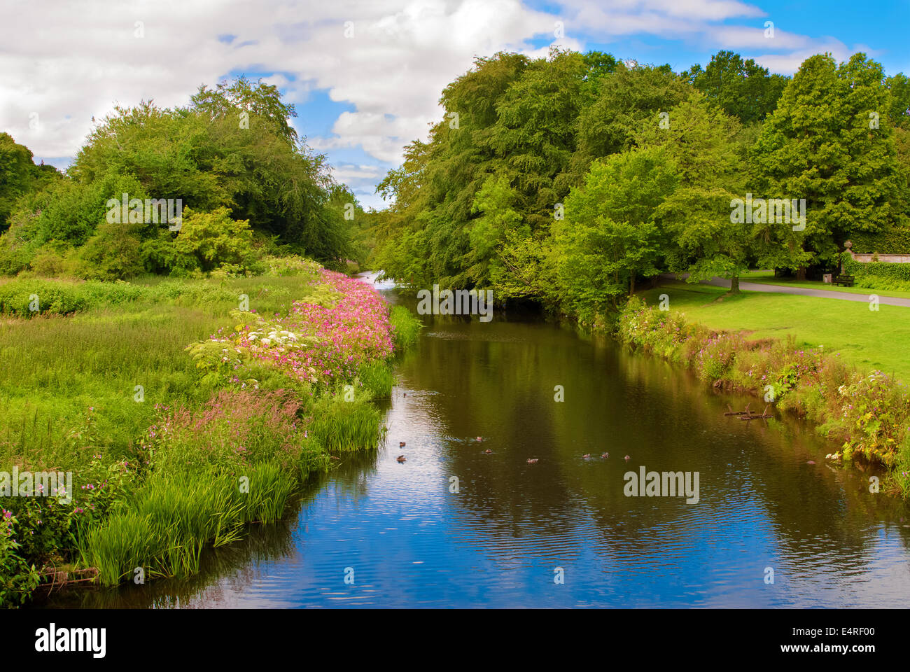 Picturesque view of a narrow river in Scotland Stock Photo