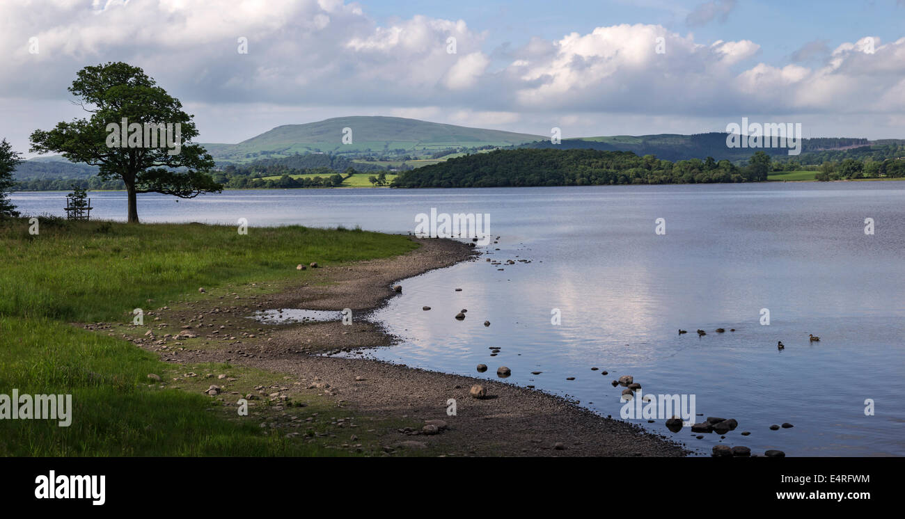 Bassenthwaite Lake, Cumbria. Stock Photo