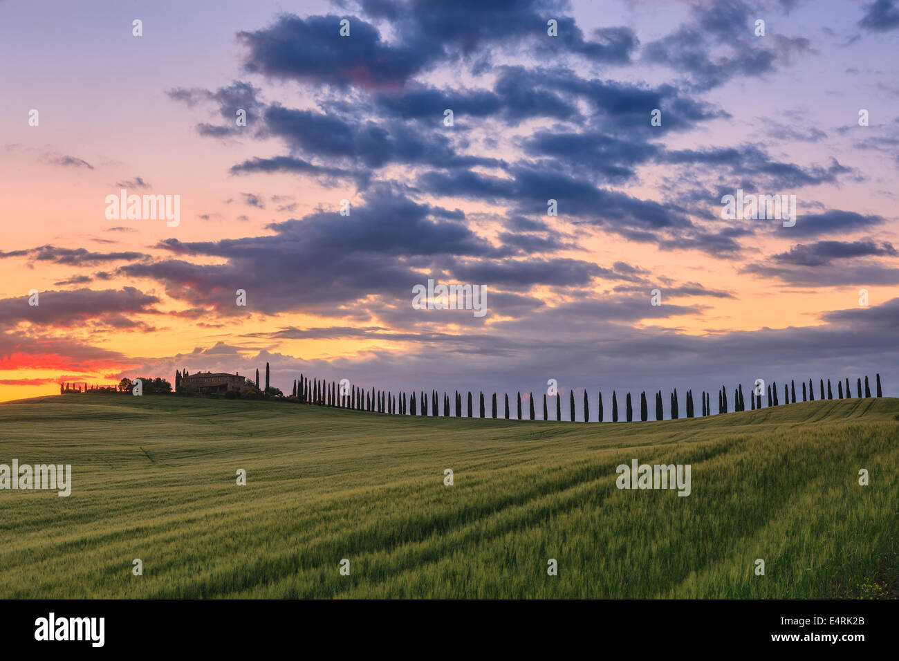 In the heart of Tuscany, in the countryside of the Val d'Orcia, stands Agriturismo Poggio Covili Stock Photo