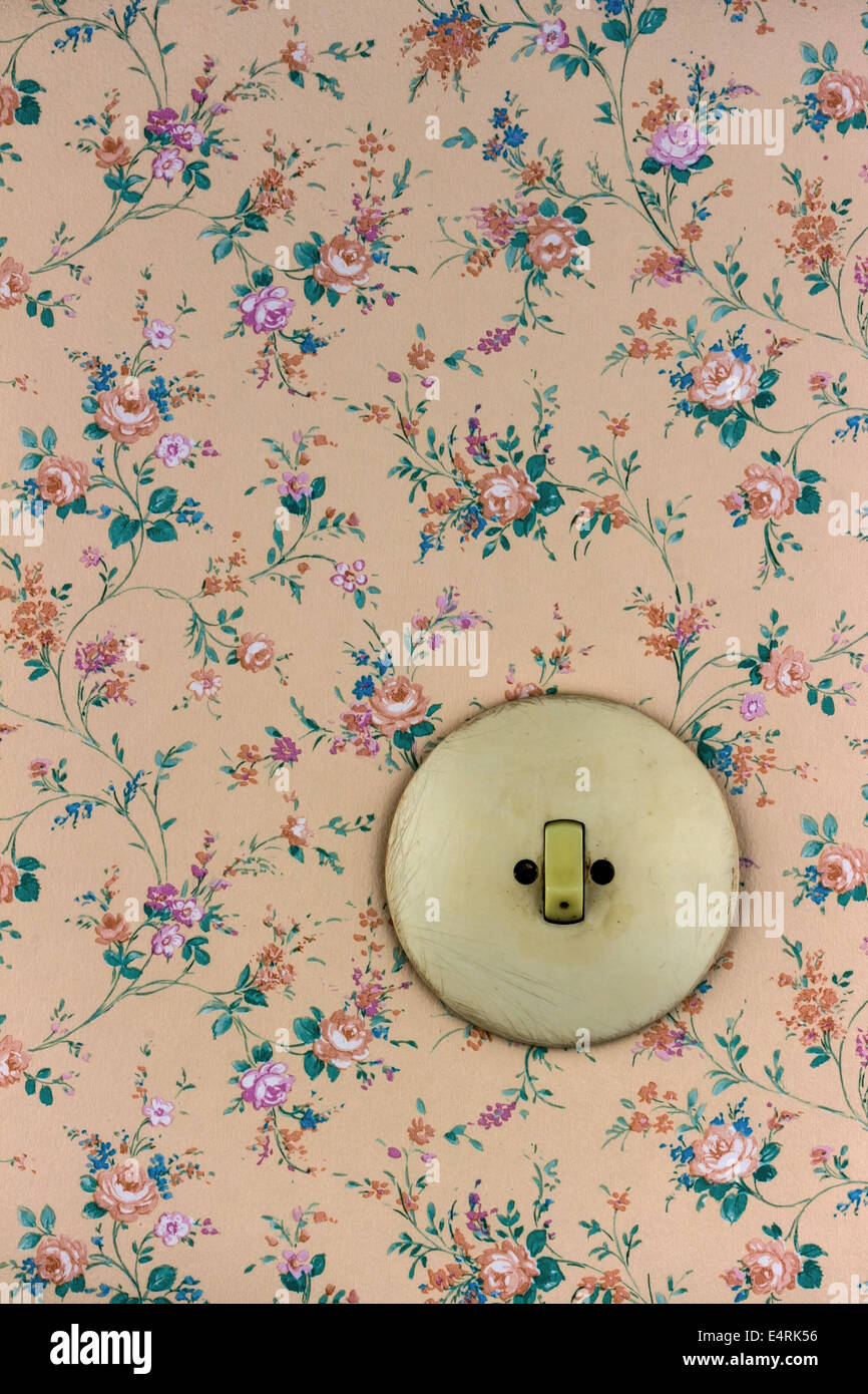 An old wallpaper with light switch. Symbolic photo for renewal and  renovate., Eine alte Tapete mit Lichtschalter. Symbolfoto fue Stock Photo -  Alamy