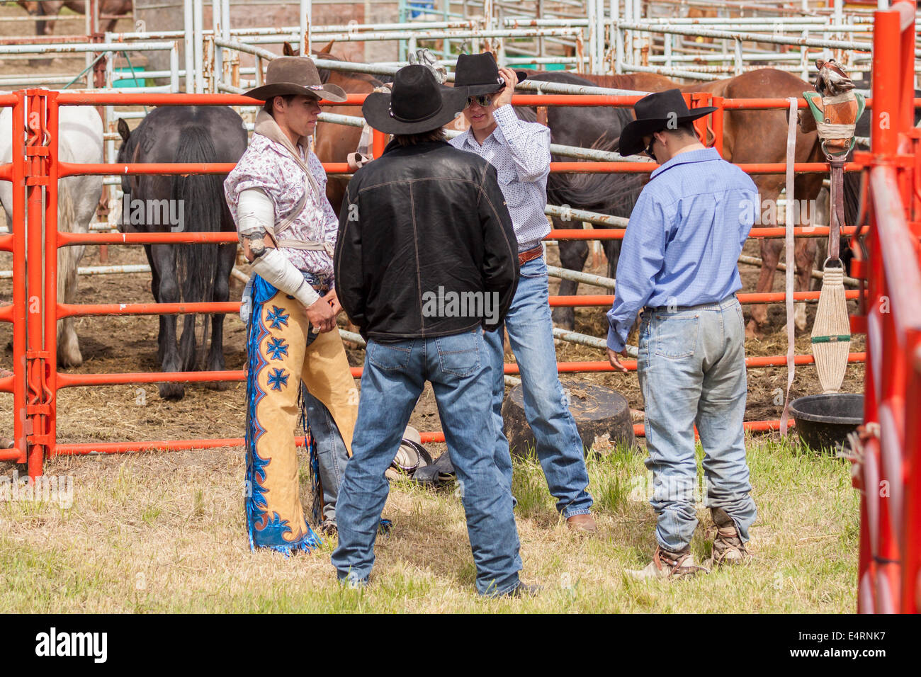 Four cowboys at Luxton Pro Rodeo stockyard-Metchosin, British Columbia, Canada. Stock Photo