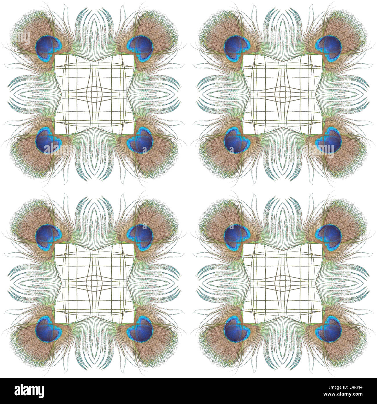 Seamless peacock hi-res stock photography and images - Alamy