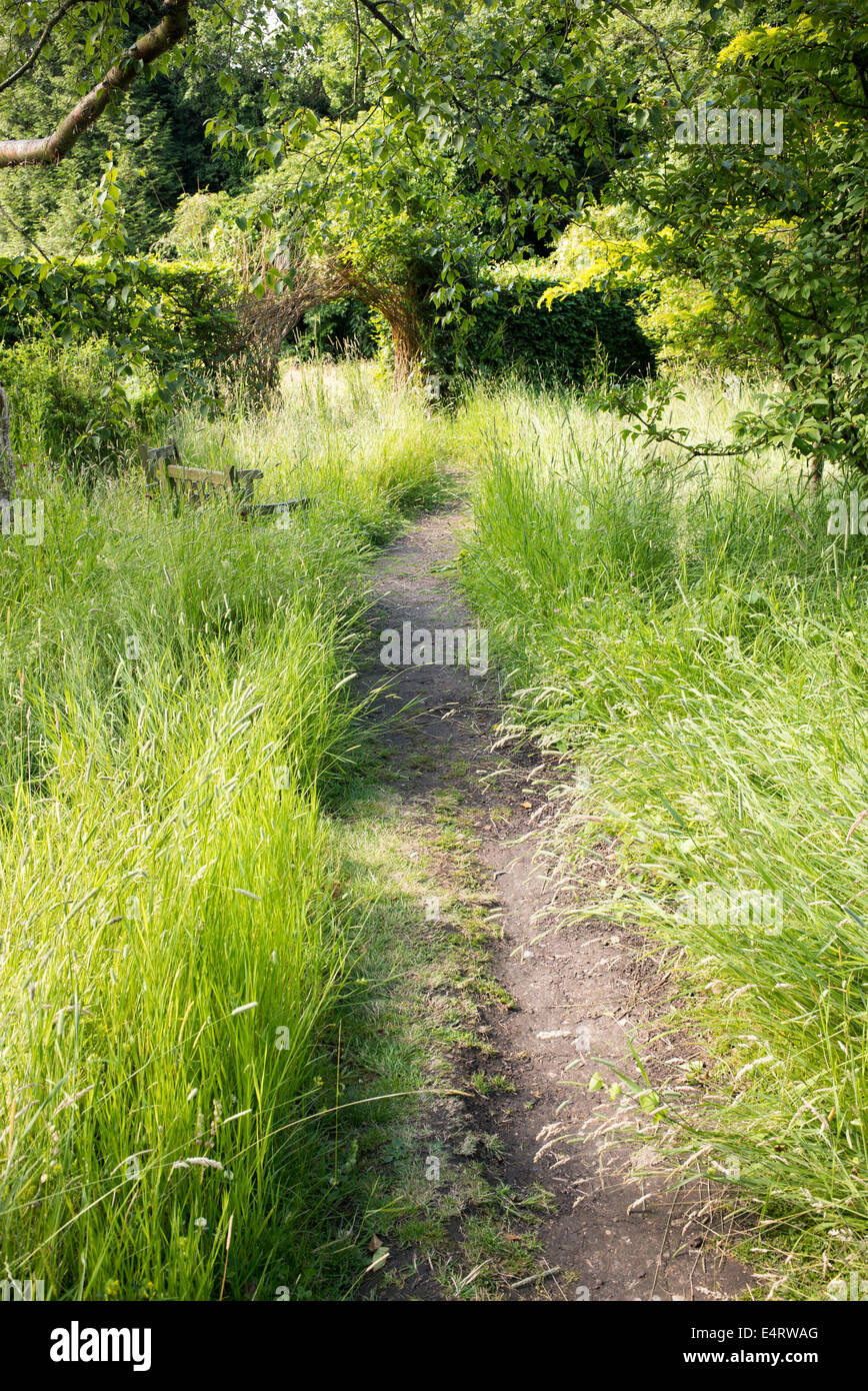 Garden path leading to a Willow Archway at RHS Harlow Carr. Harrogate, England Stock Photo