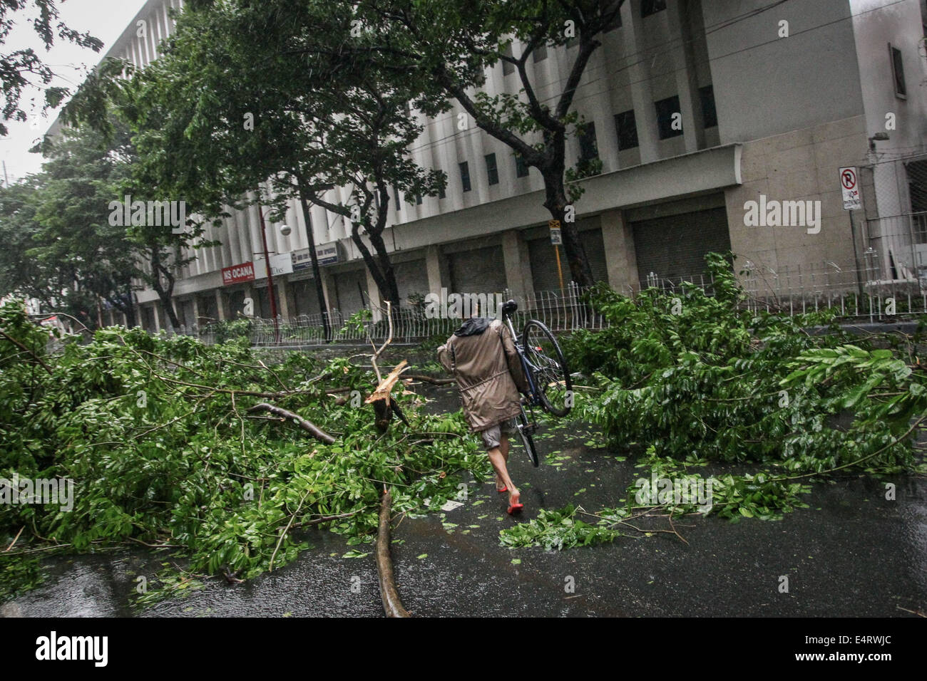 Manila, Philippines. 16th July, 2014. A man carries his bicycle past debris of tree brought down by Typhoon Rammasun on July 16, 2014. Typhoon Rammasun (locally known as Glenda) had maximum sustained winds of 150 kph and gustiness of up to 185 kph when it hit Metro Manila. Across the country, about 400,000 people had fled their homes and sheltered in evacuation centers, according to the disaster management council. Credit:  ZUMA Press, Inc./Alamy Live News Stock Photo