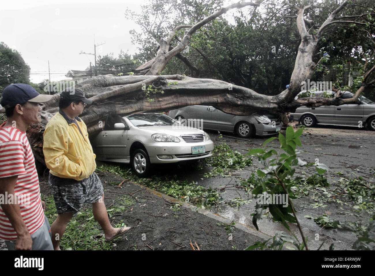 Manila, Philippines. 16th July, 2014. Men observe vehicles that were crushed by a tree near a private subdivision in Makati City as Typhoon Rammasun hit Metro Manila on July 16, 2014. Typhoon Rammasun (locally known as Glenda) had maximum sustained winds of 150 kph and gustiness of up to 185 kph when it hit Metro Manila. Across the country, about 400,000 people had fled their homes and sheltered in evacuation centers, according to the disaster management council. Credit:  ZUMA Press, Inc./Alamy Live News Stock Photo