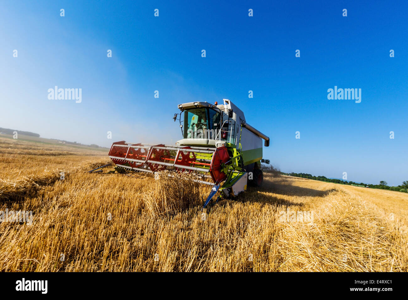 A grain-field with wheat with the harvest. A combine harvester at the work., Ein Getreidefeld mit Weizen bei der Ernte. Ein Maeh Stock Photo