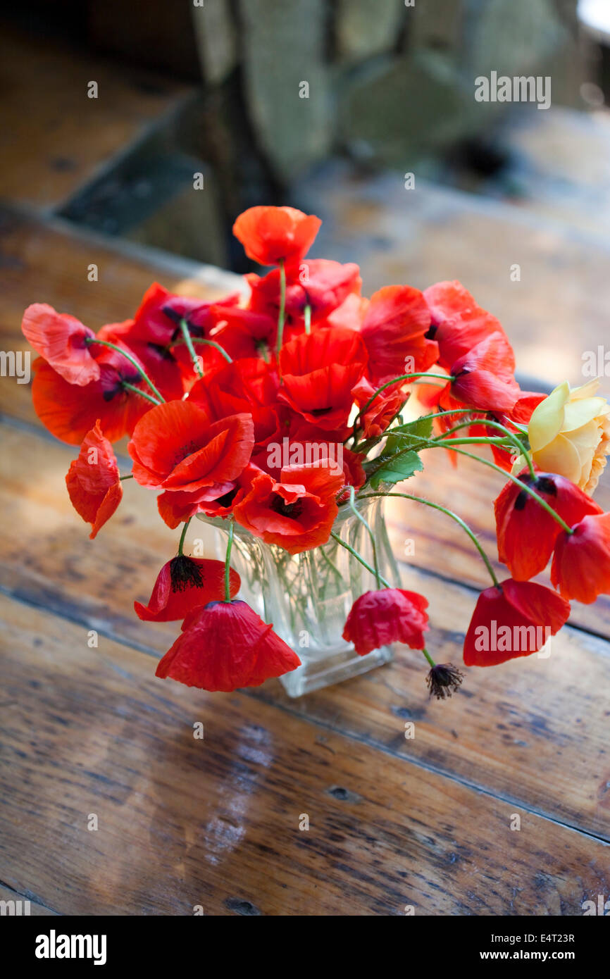 Bouquet Of Red Poppies Stock Photo Alamy Bouquet Of Red Poppies Stock Photo Alamy