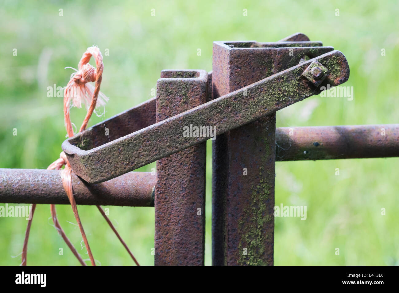 Metal Gate Latch Stock Photo Alamy