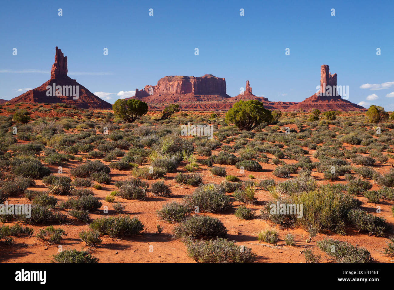 Big Indian, Brigham’s Tomb, King on his throne, and The Castle rock formations, Monument Valley, Navajo Nation, Utah/Arizona USA Stock Photo