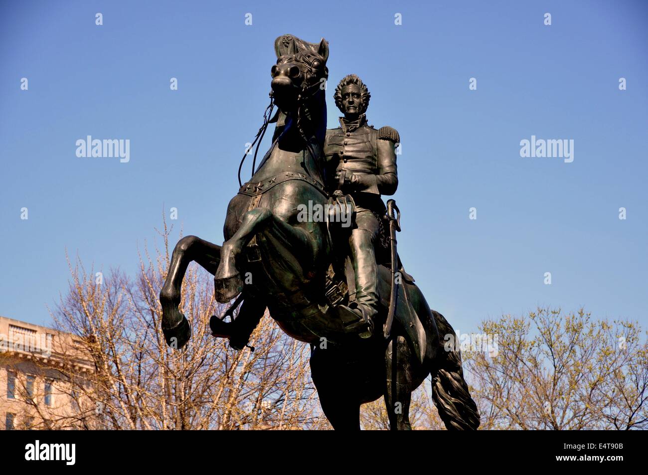 Washington, DC:  Equestrian statue of President Andrew Jackson stands at the center of Lafayette Park Stock Photo