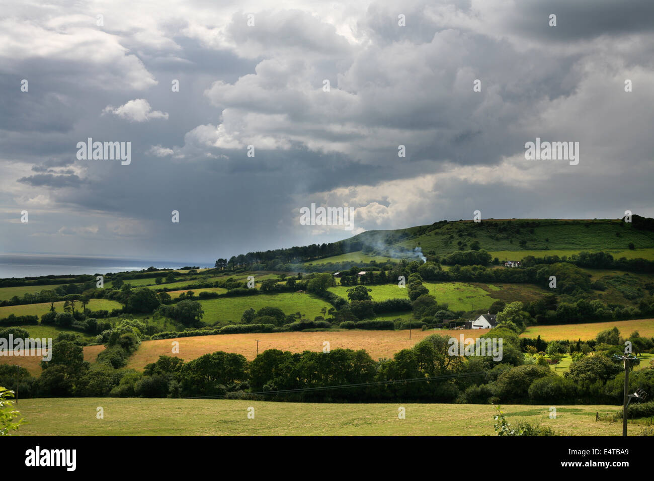 South Devon, coast, hills, countryside, farm, Stock Photo