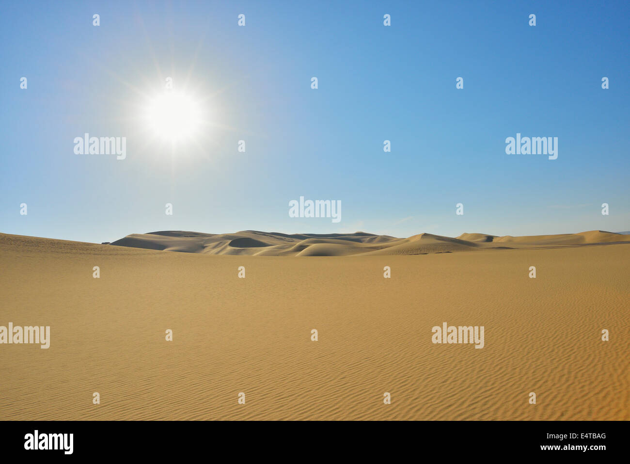 Desert Landscape with Sun, Matruh Governorate, Libyan Desert, Sahara Desert, Egypt, Africa Stock Photo