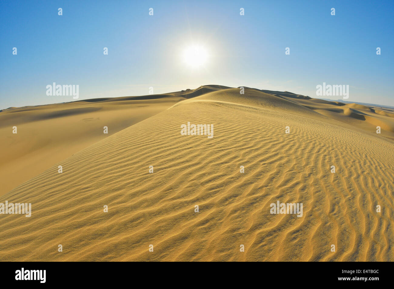 Sand Dunes with Sun, Matruh Governorate, Libyan Desert, Sahara Desert, Egypt, Africa Stock Photo