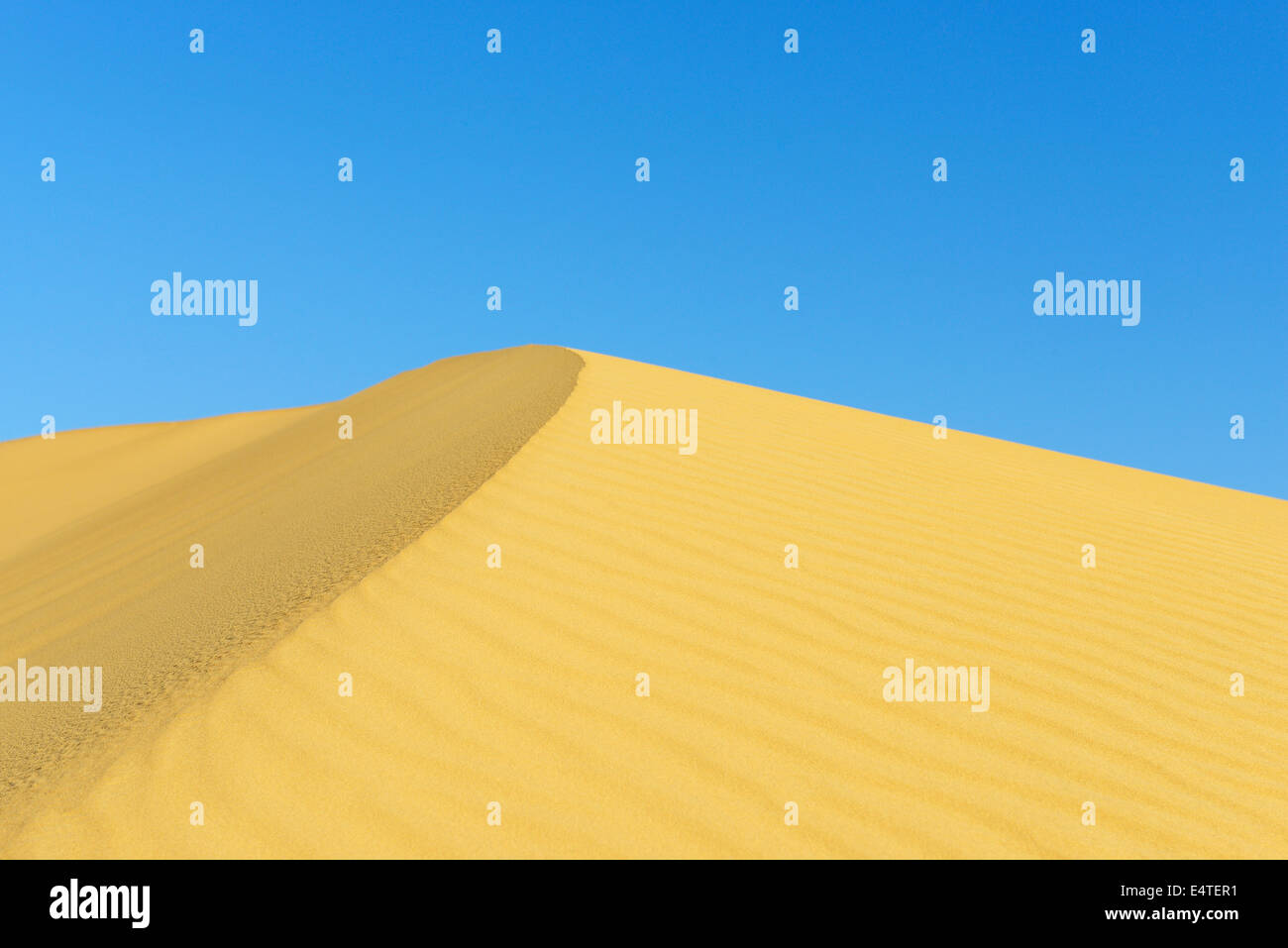 Top of Sand Dune against Blue Sky, Matruh, Great Sand Sea, Libyan Desert, Sahara Desert, Egypt, North Africa, Africa Stock Photo